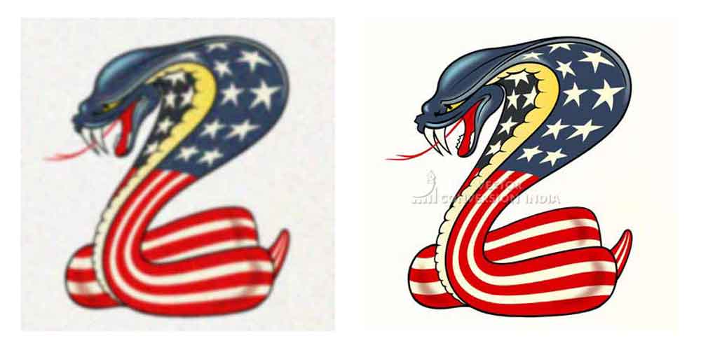 Portfolio Vector Conversion India